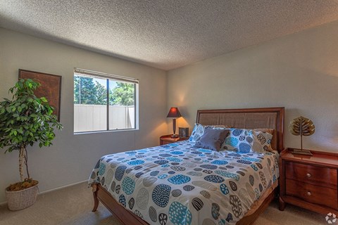 Ashford park spacious bedroom with window and lots of natural lighting