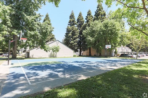 Ashford Park tennis court