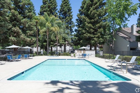 Ashford Park resident pool and lounge chairs
