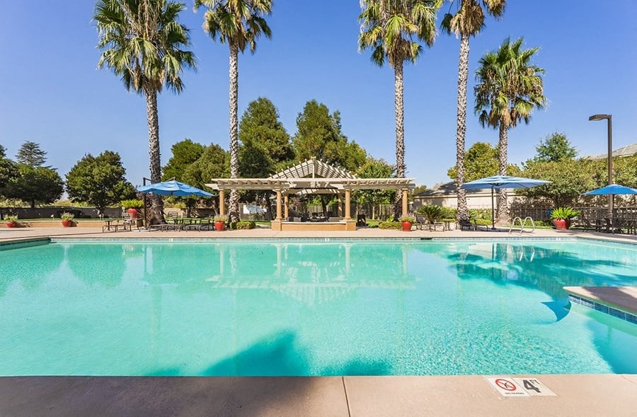 a swimming pool with palm trees and umbrellas next to a resort style pool