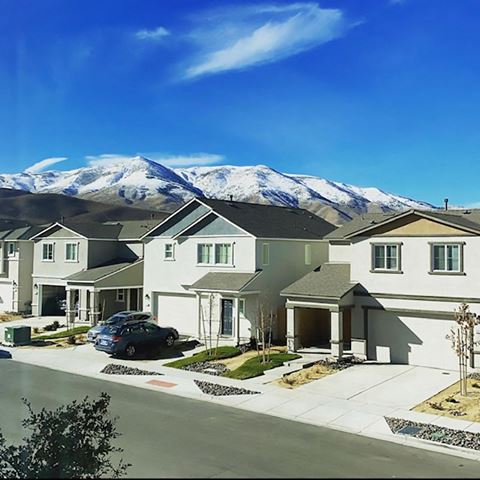 Dog-Friendly Homes in Reno NV - Aspen Vista at Anchor Pointe - Perfectly Landscaped Frontyard with Concrete Driveway and Garage