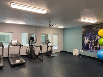 Gym with cardio equipment - Photo Gallery 4