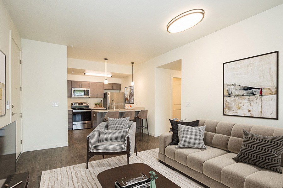 Living room and kitchen area 