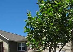 Basketball court near buildings and grass - Photo Gallery