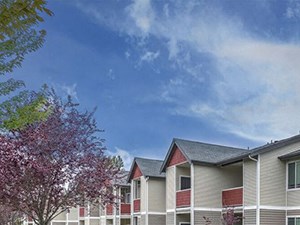 Apartments in Greenville-Bella Sonoma Apartments Exterior Of Two-Story Units With Small Front Lawns And Bushes - Photo Gallery