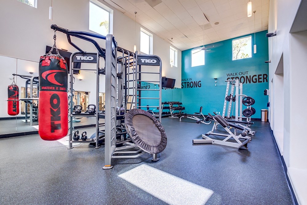 Gym with strength equipment