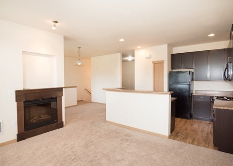 kitchen and living room