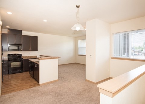 kitchen and living area