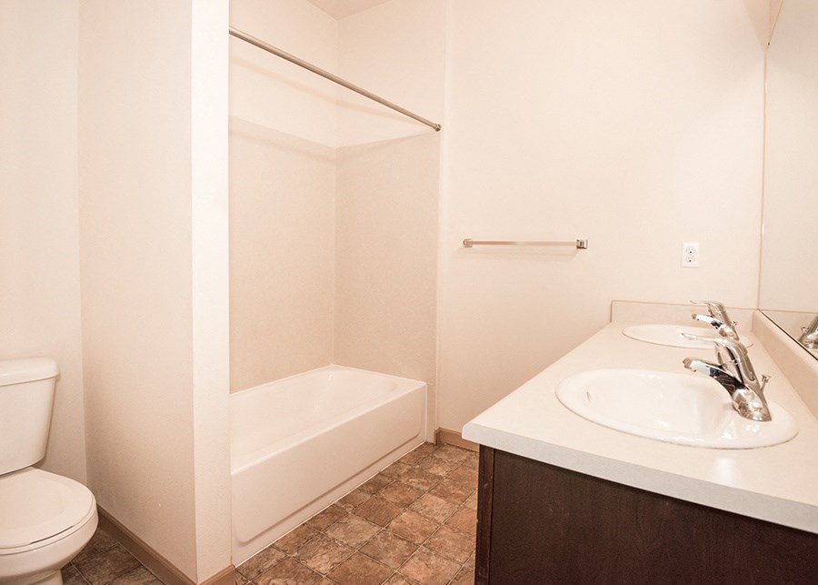 bathroom shower and vanity