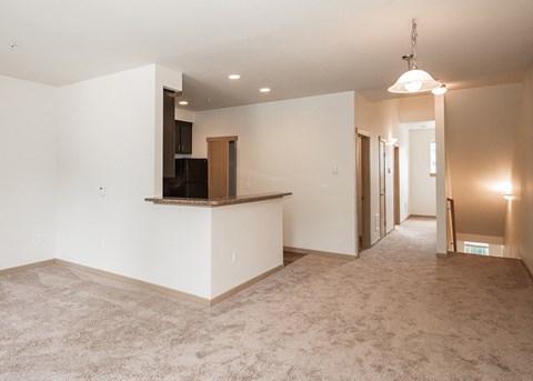 kitchen and living room