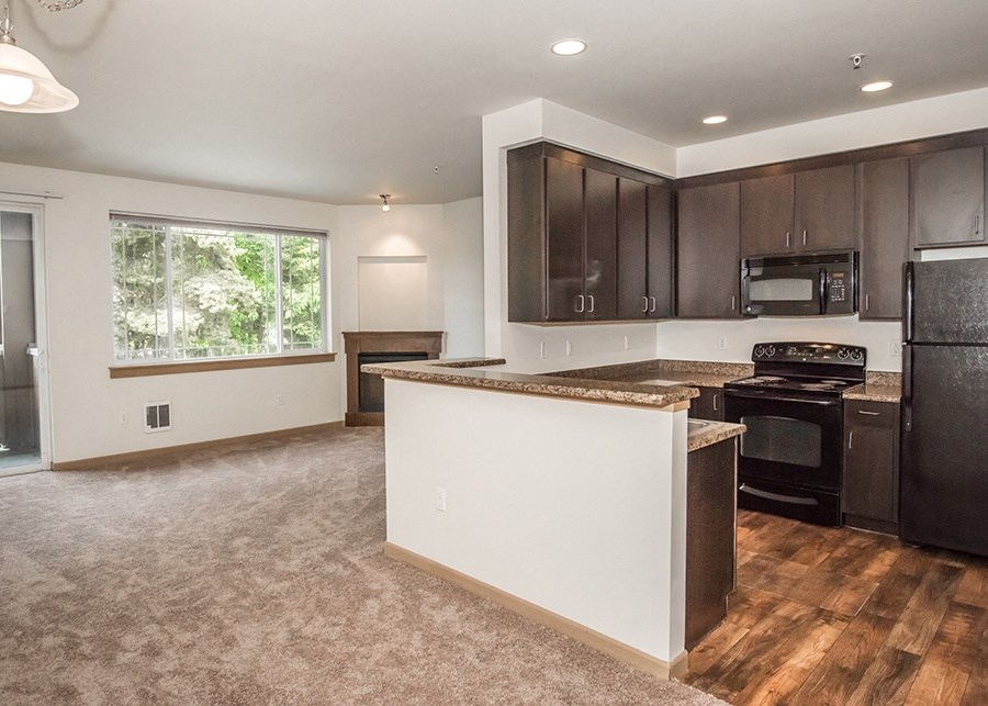 kitchen and living room