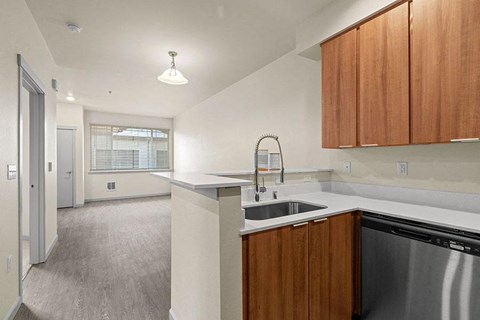 kitchen and living room