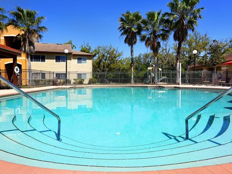 the swimming pool at the resort has palm trees