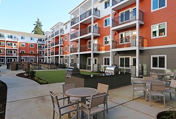 Apartments in Arlington - Cedar Pointe Apartments Outdoor Seating Courtyard with BBQ Grills - Photo Gallery 12