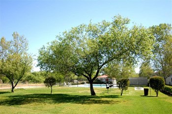 Large grasy field - Photo Gallery 5