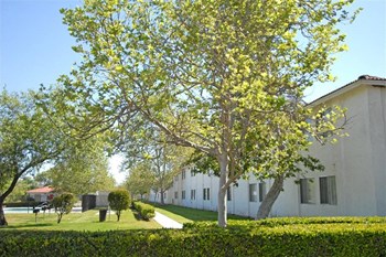 View of buildings and landscape - Photo Gallery 6