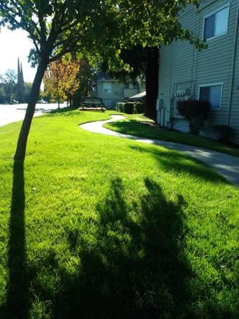 Ashley Park Apartments | Green Grass and Walking Paths Enjoy the walking paths at Ashley Park Apartments | Stockton, CA - Photo Gallery 3