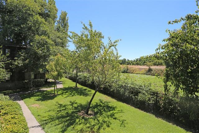 Green landscaping in Harbor Isle apts