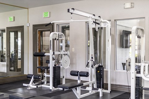 a gym with a lot of machines and weights