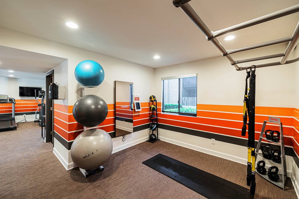 Fitness room with exercise balls