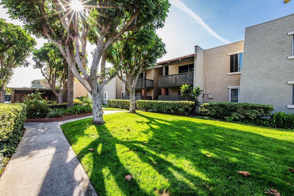 an apartment building with grass and trees and a sidewalk