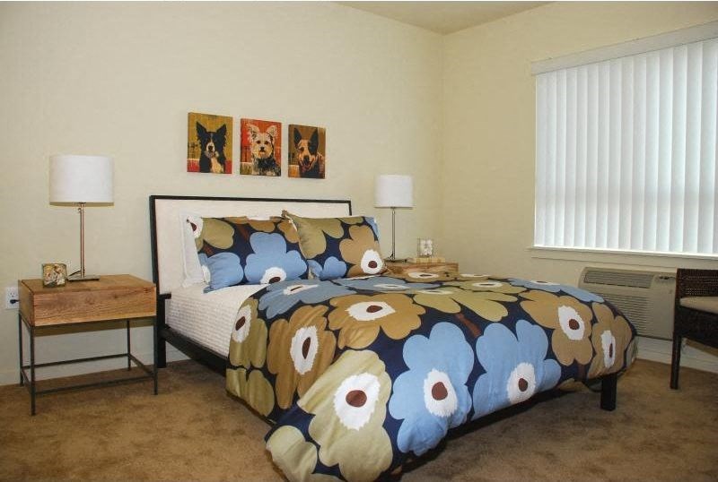 Large bedroom and decor
