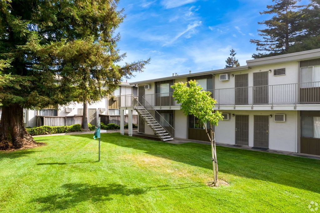our apartments offer a spacious courtyard with green grass and trees