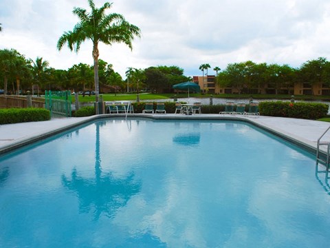 a large pool with palm trees and chairs around it