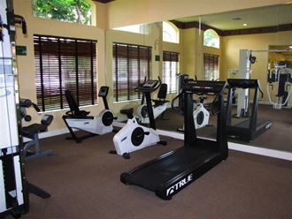 Gym with cardio and weight fitness equipment