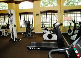 Gym with cardio and weight fitness equipment