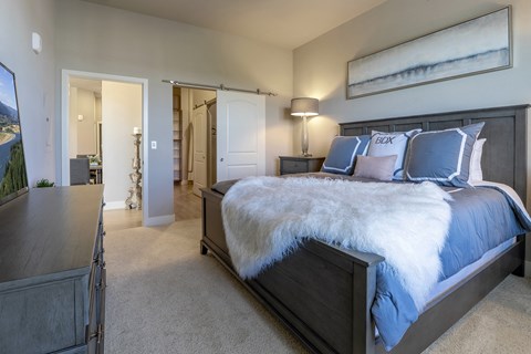 bedroom large closet