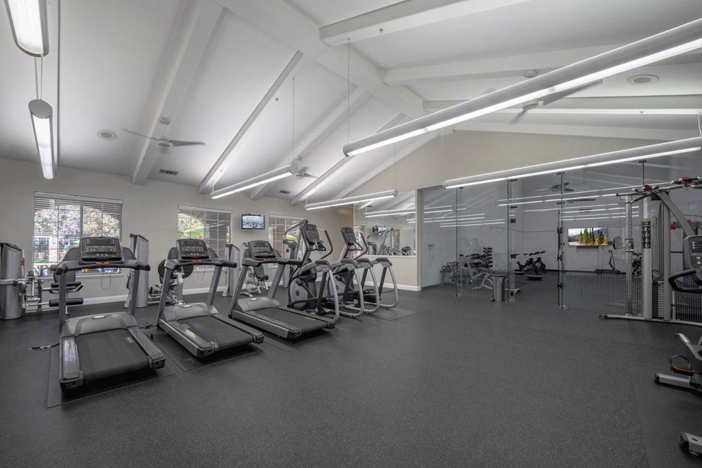 a gym with treadmills and other exercise equipment
