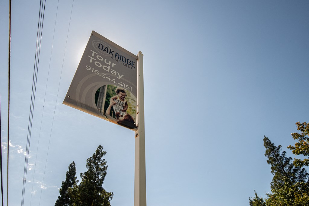 a banner on a pole with trees and a blue sky
