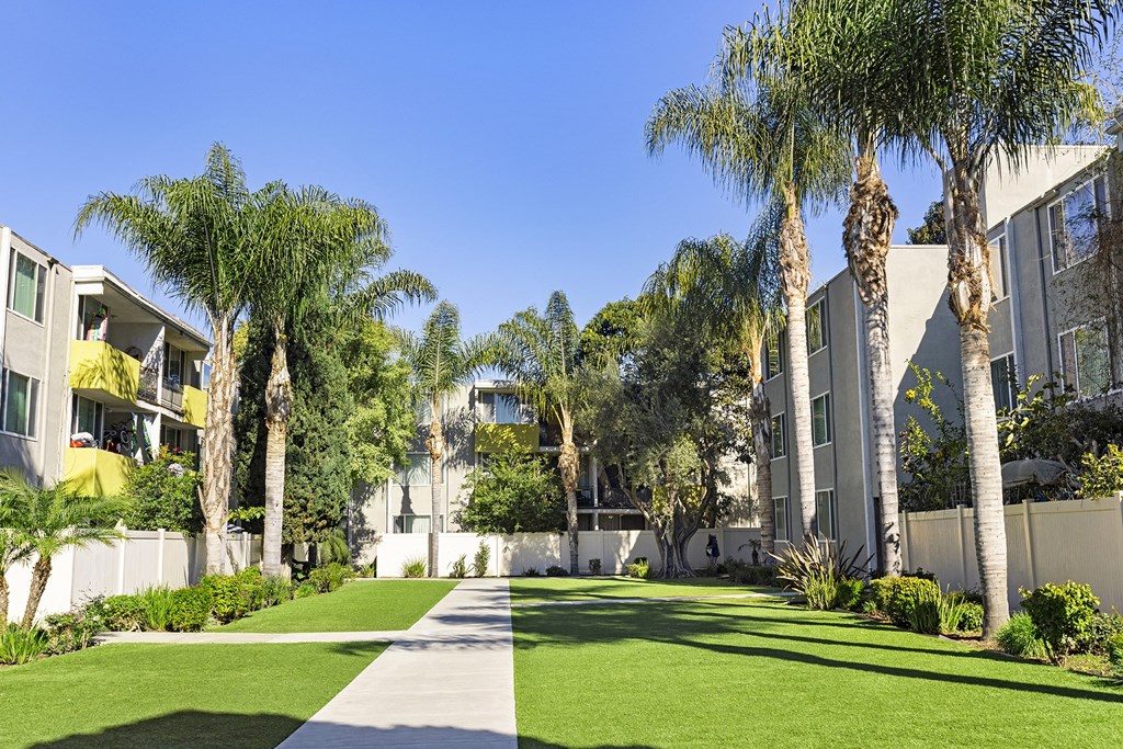 a grassy area with palm trees and buildings in the background