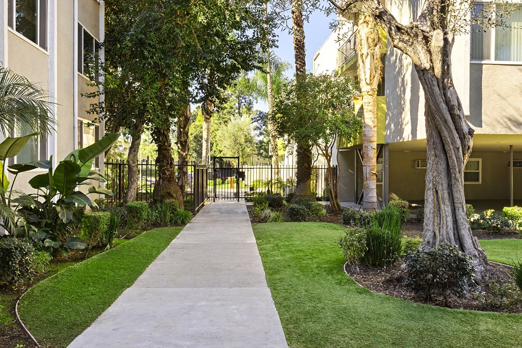 a sidewalk lined with trees and plants in front of an apartment building