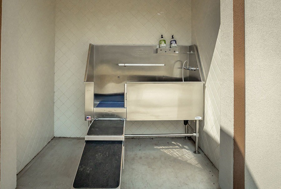 Dog-Friendly Apartments in Chico, CA - Covered Outdoor Pet Spa with Ramp and Sprayer