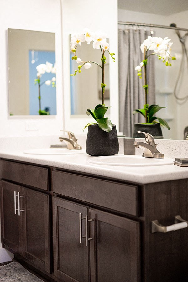 Bath sink and vanity 