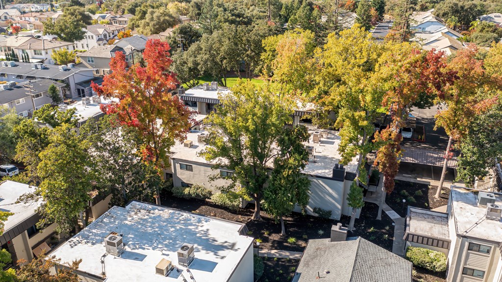 an aerial view of a city with trees and buildings