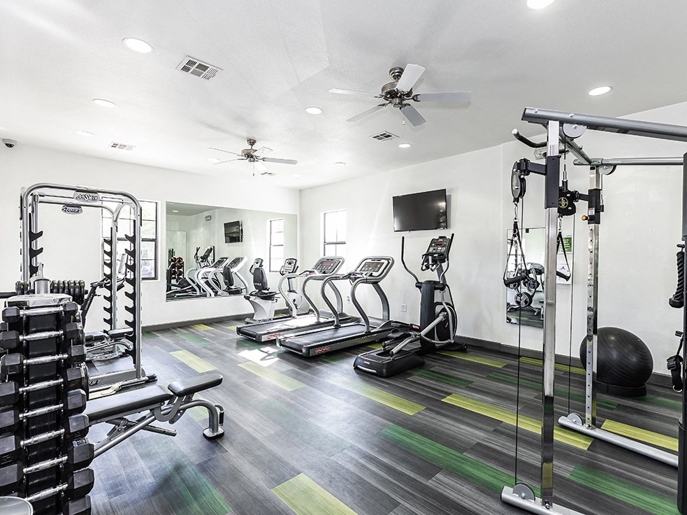 Fitness room with cardio and strength equipment