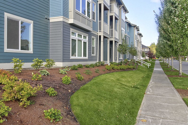 Buildings & Landscape | Briggs Village Apartments in OLYMPIA, WA 98501