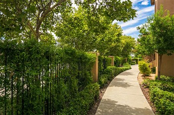 Sidewalk path through community - Photo Gallery 2