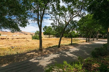Nature Trails by road - Photo Gallery 5