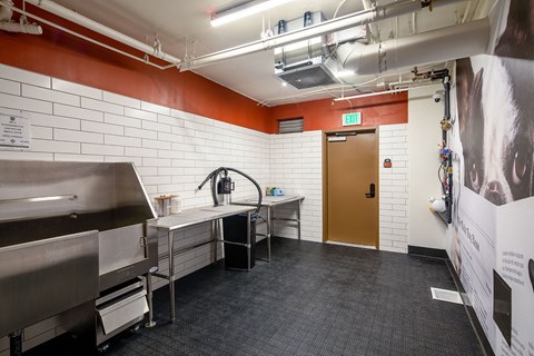 a kitchen with a sink and a stove and a door