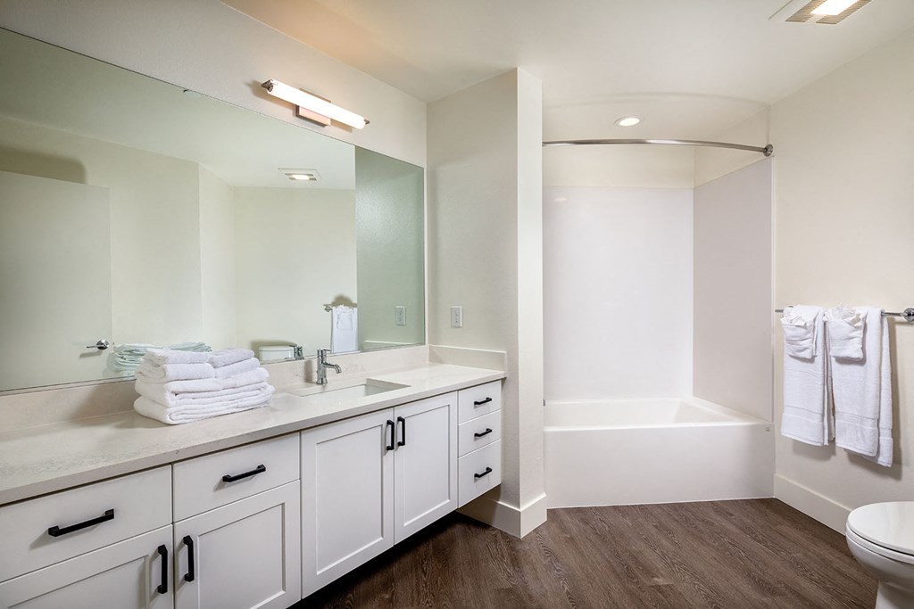 Guest bathroom with large vanity and shower 