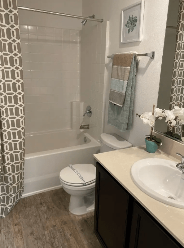 Bathroom vanity and shower