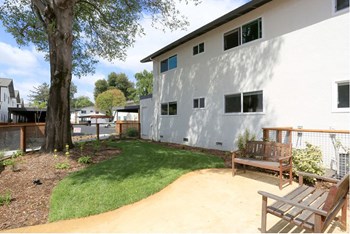 Dog Park | Edge at Howarth Park in Santa Rosa, CA 95405