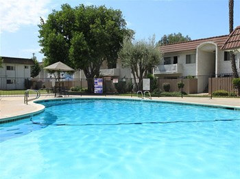 Pool with seating - Photo Gallery 2