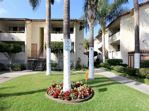 202 W SAN YSIDRO BOULEVARD Studio-2 Beds Apartment for Rent