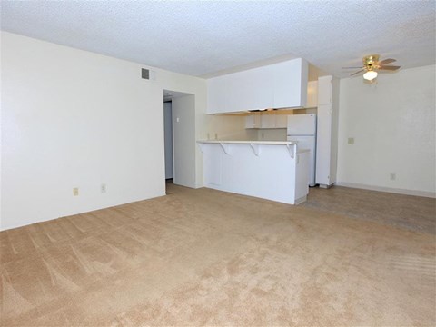 Living room and kichen