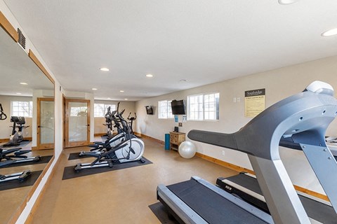 the gym has plenty of treadmills and other exercise equipment